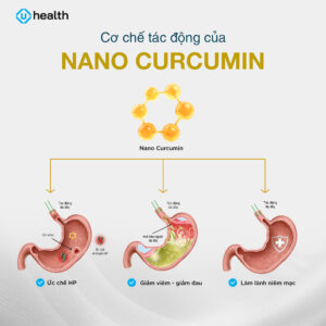 Cơ chế tác động của Nano Curcumin